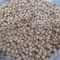 نخود تمیز امسالی