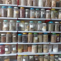 عطاری|آرایشی، بهداشتی، درمانی|ساری, |دیوار