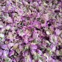 گل محمدی بابونه غنچه آویشن دارابی امسالی پارسال