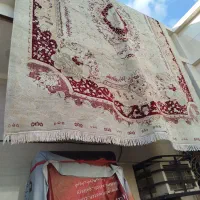 قالی 700شانه نخی|فرش|اهواز, کوی علوی|دیوار