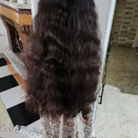 فر وش و خرید دارمو های طبیعی