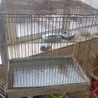دو عدد قفس بزرگ
