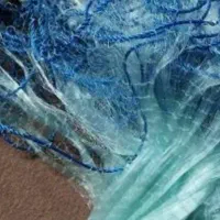 تور ماهی گیری (جاروف)