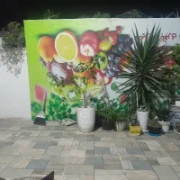 حراج تابلو سالم میوه