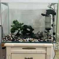 آکواریوم شیشه خم/تصفیه استوانه ای/بخاری/سنگ/لامپ