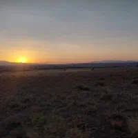 فروش باغ و زمین کشاورزی