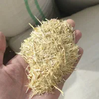 کاه گندم و لوبیا|لوازم جانبی حیوانات|دهگلان, |دیوار