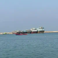 تور به جزیره بکر هنگام- با اتوبوس سیستم دار|تور و چارتر|شاهین‌شهر, خبرنگار|دیوار