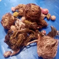 طرح تعویض ظروف کهنه با نو|ظروف پختوپز|قم, انصارالحسین|دیوار