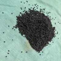 بذر پیاز نومل|گل و گیاه طبیعی|گرگان, |دیوار