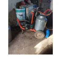 شیر دوش کاوه|حیوانات مزرعه|اسفراین, |دیوار