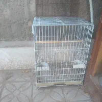 قفس مینا