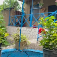 اجاره-روزنامه-خونه-مادربزرگه