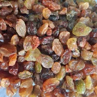 کشمش افتابی