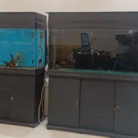 آکواریوم شیشه خم