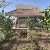 گلخانه مکانیزه و صنعتی|فروش دفتر صنعتی، کشاورزی، تجاری|تیران, |دیوار