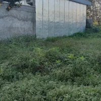 مسکونی ۲۵۴ متر سند تک برگ