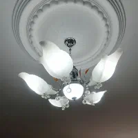 یک عدد لوستر