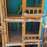 گنجه ، قفس مرغ و خروس و ...