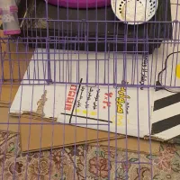 قفس خرگوش و خوکچه هندی|لوازم جانبی حیوانات|تهران, گلستان (شهرک راه آهن)|دیوار