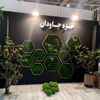 دیوار سبز خزه ای یا mosswall|گل و گیاه طبیعی|شیراز, شهرک والفجر|دیوار