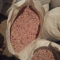 لوبیا چیتی   درجه ۱