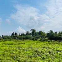 ۷۲۵ متر زمین زیر قیمت پول نیاز فوری