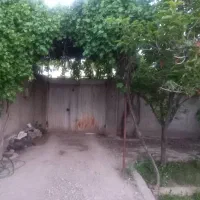 اجاره خانه ویلایی ماهان