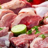 مرغ شمال به قیمت جانبازان