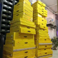 پخش عمده و تک بدنه فلزی و سپر رنگی و خام،چراغ|قطعات یدکی و لوازم جانبی|فردیس, شهرک شهید حسینی|دیوار