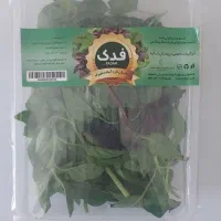 استخدام نیروی خانم