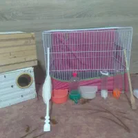 قفس و لوازم