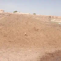کودحیوانی مستقیم ازدامداری