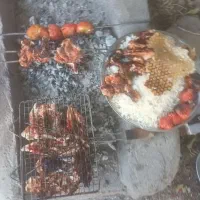 بوقلمون|حیوانات مزرعه|کامیاران, |دیوار