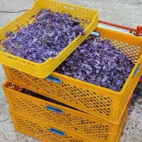 زعفران برتر قاین|حراج|مهاباد (اصفهان), |دیوار