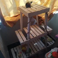 شلف و جای گلدون یا هرچیز دیگر