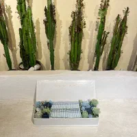 شمع دکوراتیو لمورا|صنایع دستی و سایر لوازم تزئینی|مشهد, چهارچشمه|دیوار