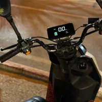 سافاری سفید