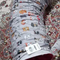 تونل بازی گربه