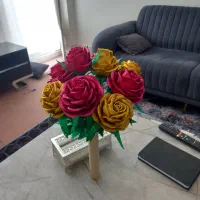 شاخه گل رز های اکلیلی بسیار زیبا