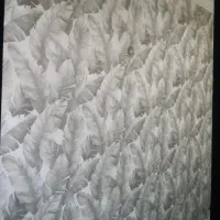 نصب و اجرای کاغذ دیواری و نقاشی ساختمان|خدمات پیشه و مهارت|محمدشهر, محمدشهر|دیوار