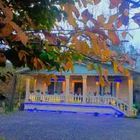 ویلاجنگلی ،دربست،ویو فوق‌العاده،خود گیسوم،