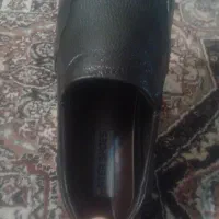 کفش مجلسی وکفش کاردوجفت