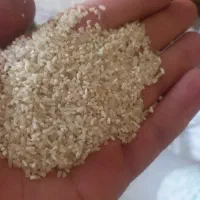 برنج فروشی استراباد|خوردنی و آشامیدنی|کاشمر, |دیوار