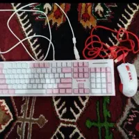موس و کیبورد رد دراگون