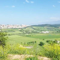 فروش زمین یا معاوضه