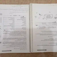 گام به گام سیر تا پیاز
