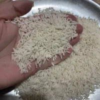 برنج دم سیاه صدری سورتینگ شده