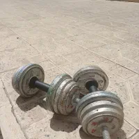 دو عدد دمبل ۱۰ کیلویی