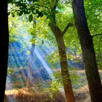 تور گردشگری  املاک گروه های ورزشی علمی تجاری
